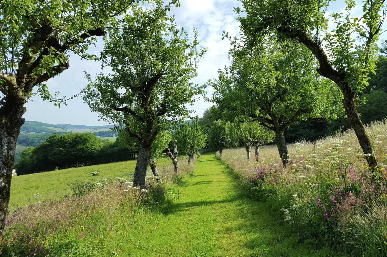 La Tour-Tuinen zomer