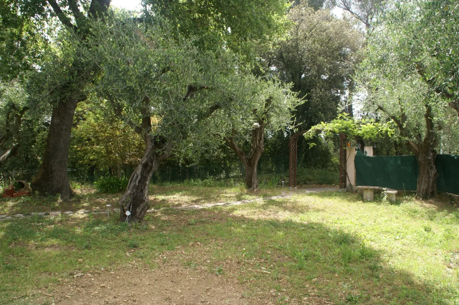 Maison de Campagne Mouans Sartoux-Tuinen zomer