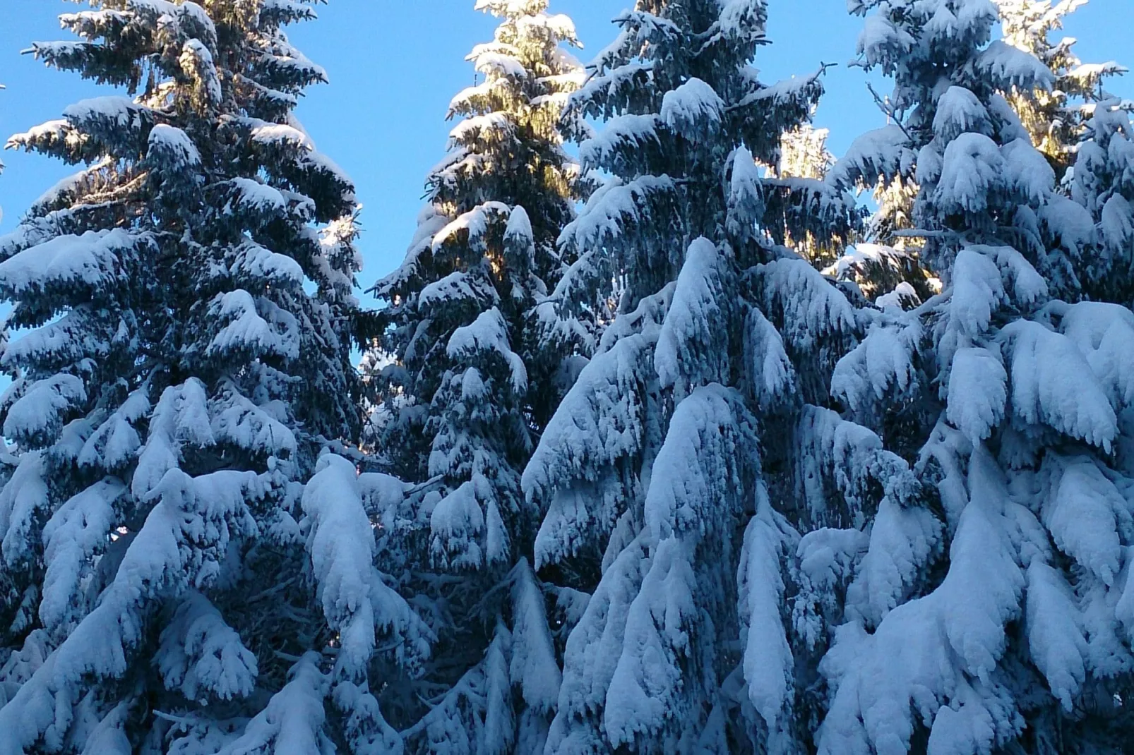 Liezey - Gérardmer-Uitzicht winter