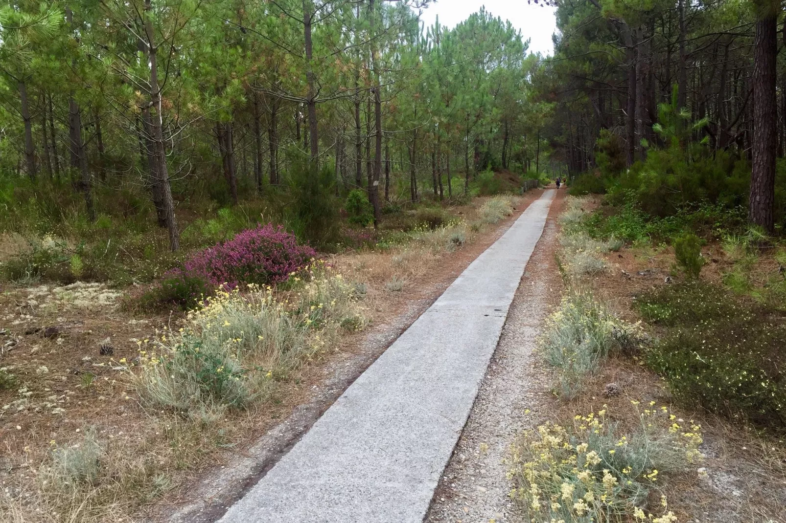 Clos les Pins-Gebieden zomer 1km