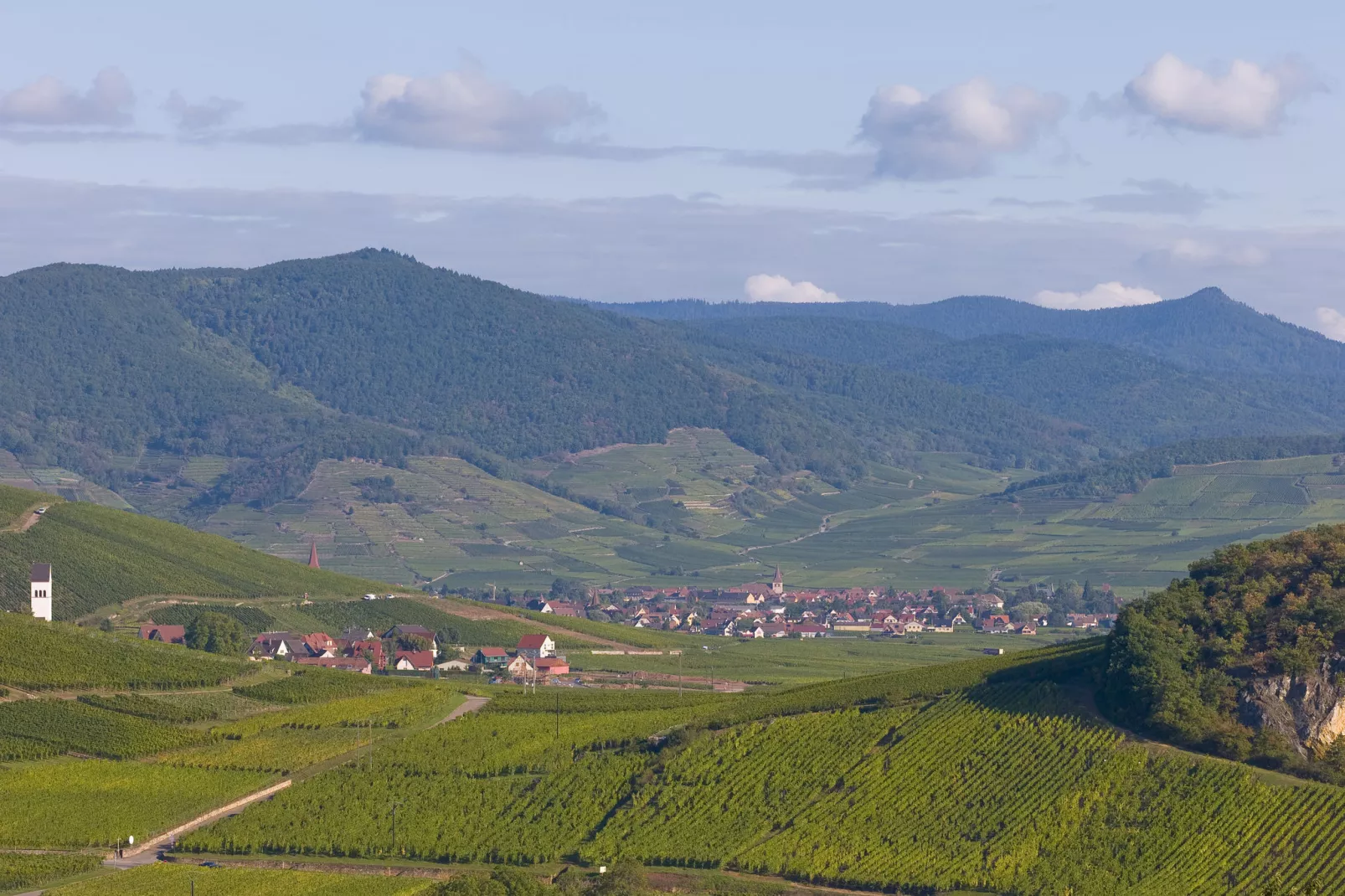 Chalet Chatelminés-Gebieden zomer 5km