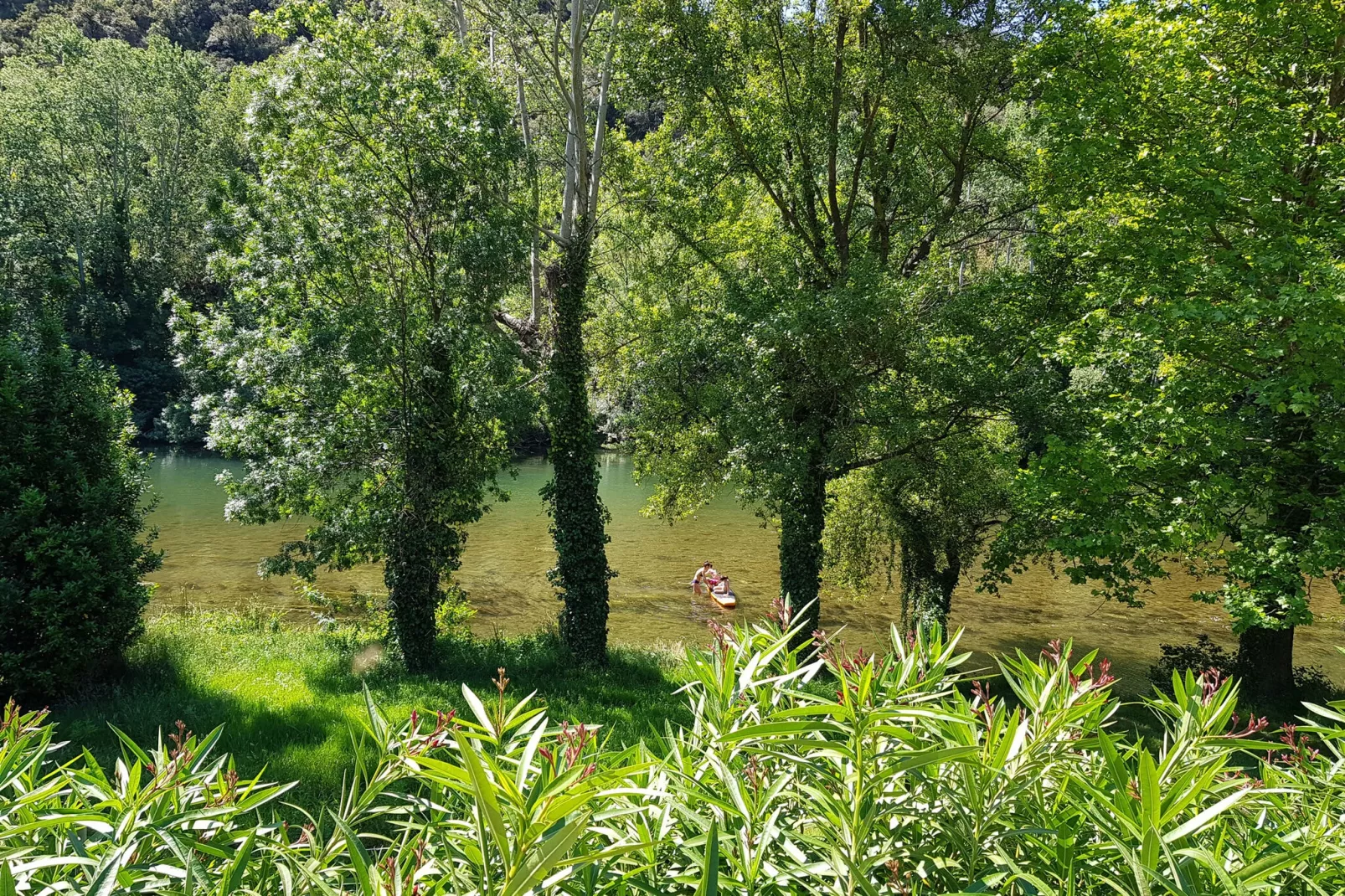 Au bord de L'Orb-Gebieden zomer 1km