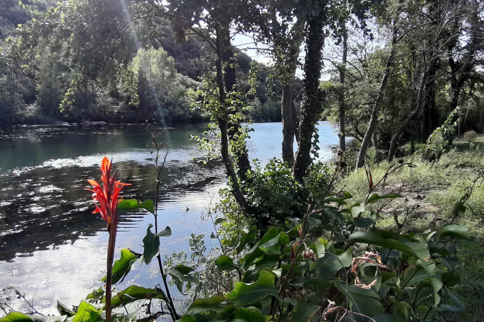 Au bord de L'Orb-Gebieden zomer 5km