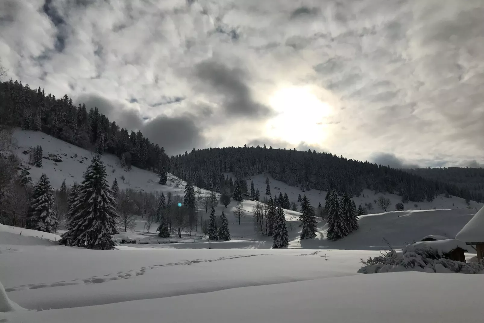 APPARTEMENT VOLVERT - LA GENTIANE-Gebied winter 1km