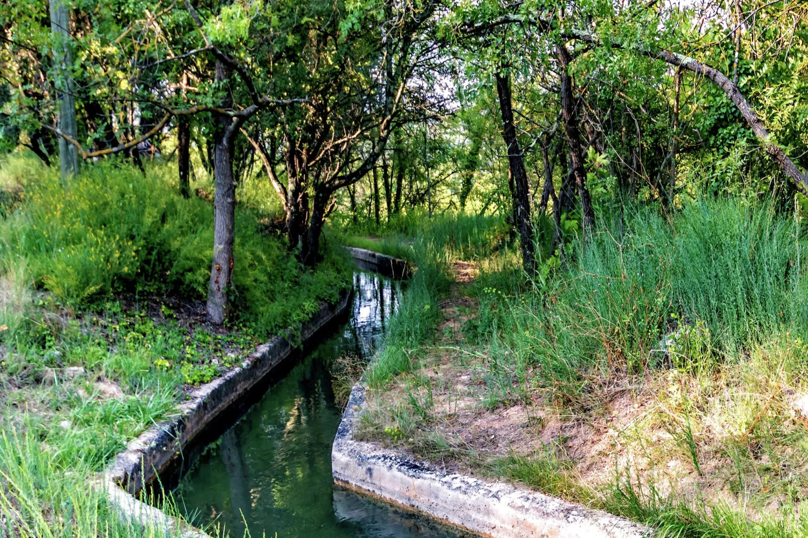 Petite Jeanne-Gebieden zomer 5km