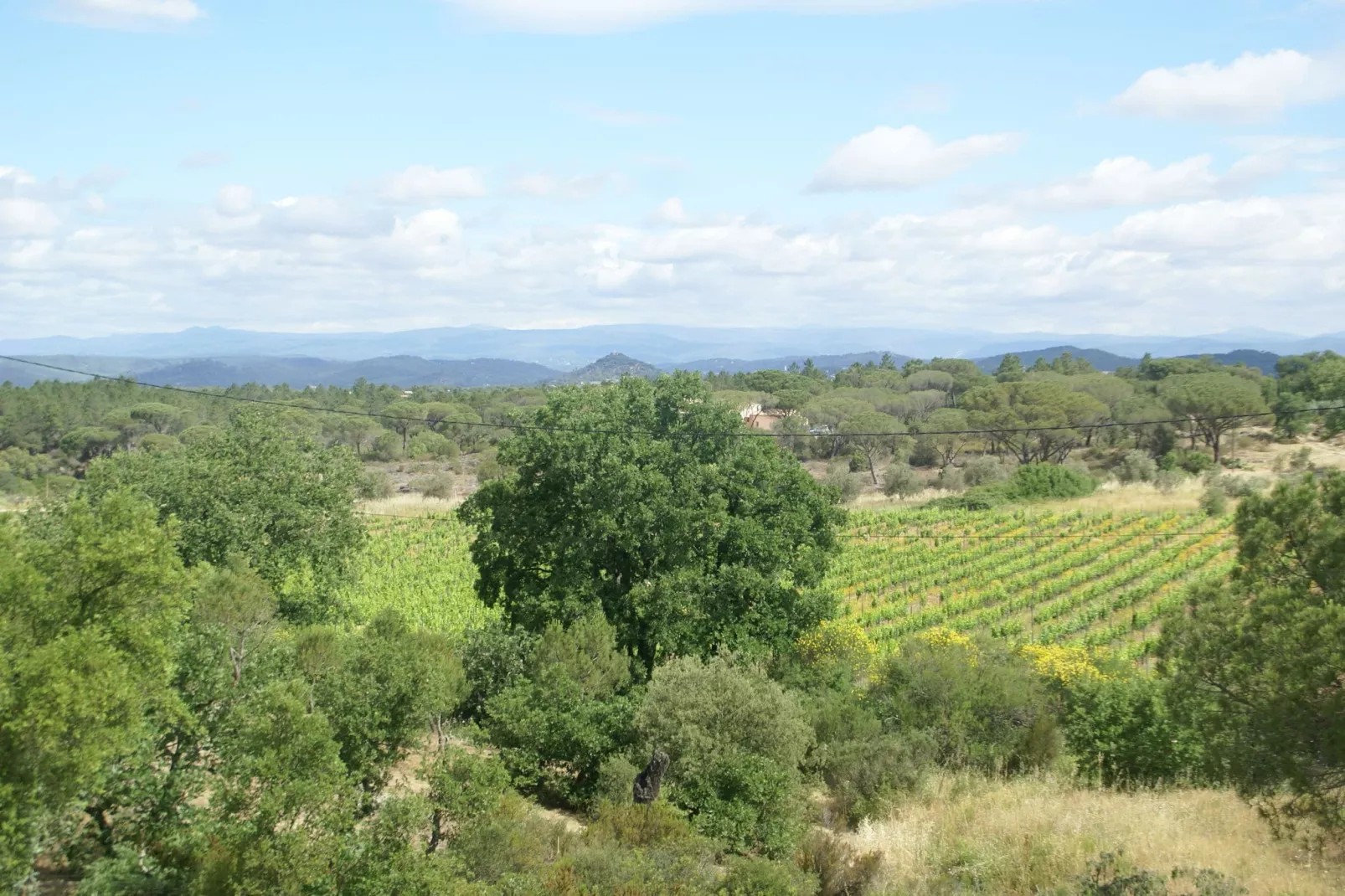 Vidauban 8-Gebieden zomer 1km