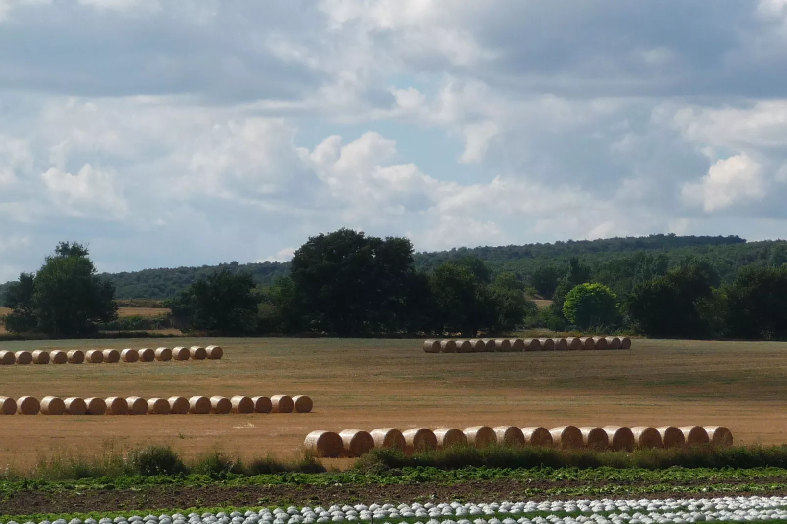 LA LUBERONNE