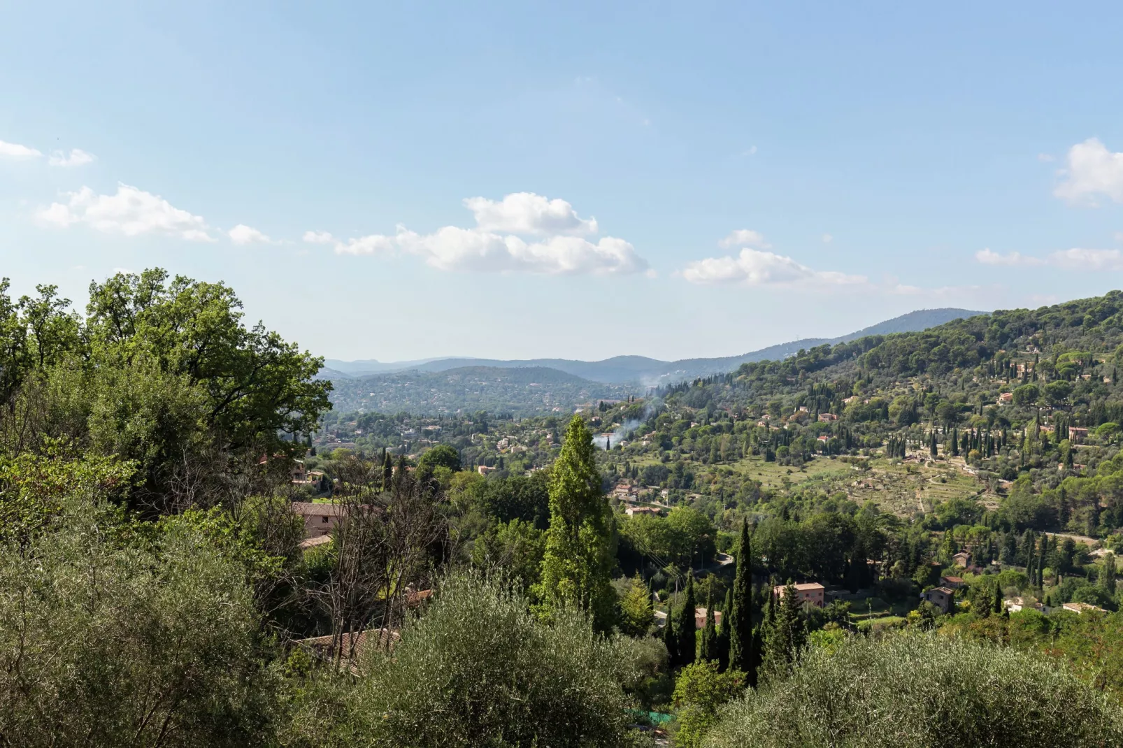 Grasse-Gebieden zomer 1km