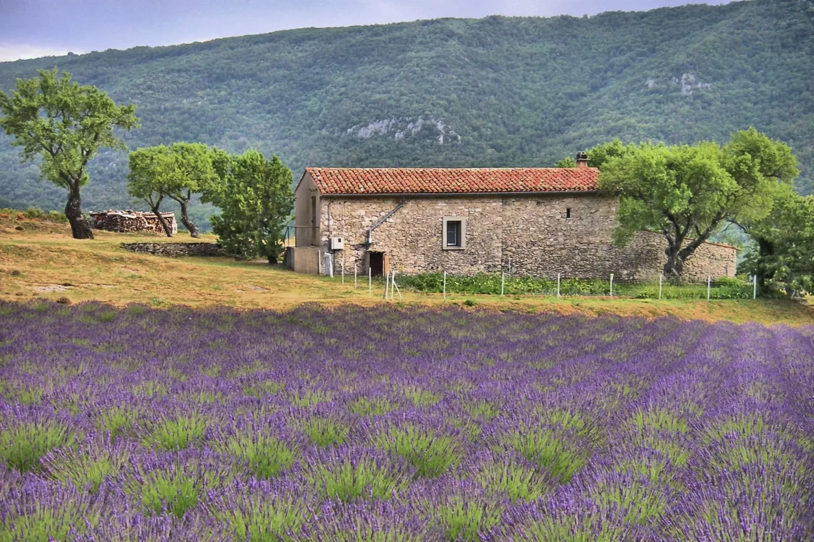 Vakantiehuis Mer et Provence