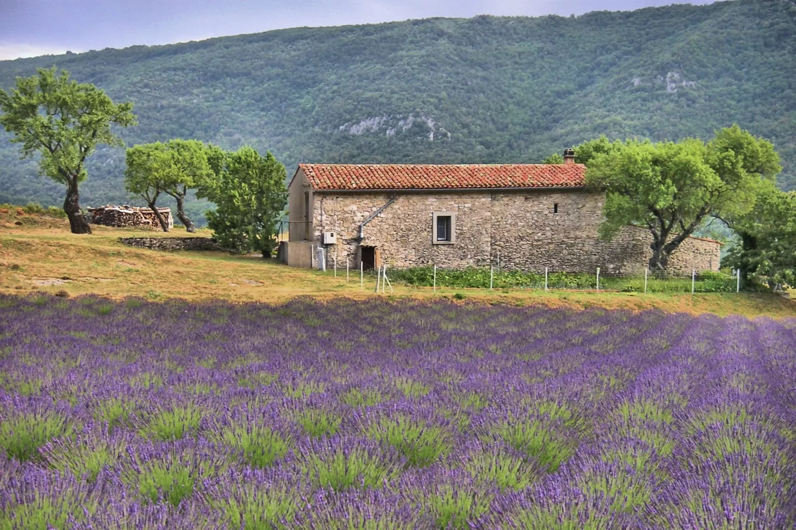 Vakantiehuis Mer et Provence-Gebieden zomer 5km