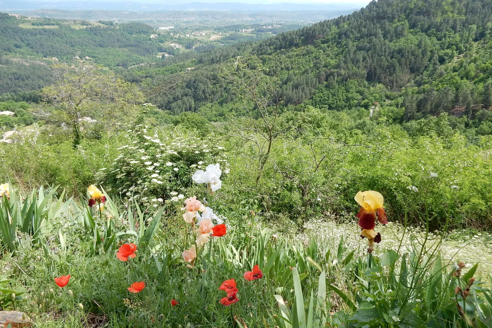 Maison de vacances Chassiers grand-Gebieden zomer 5km