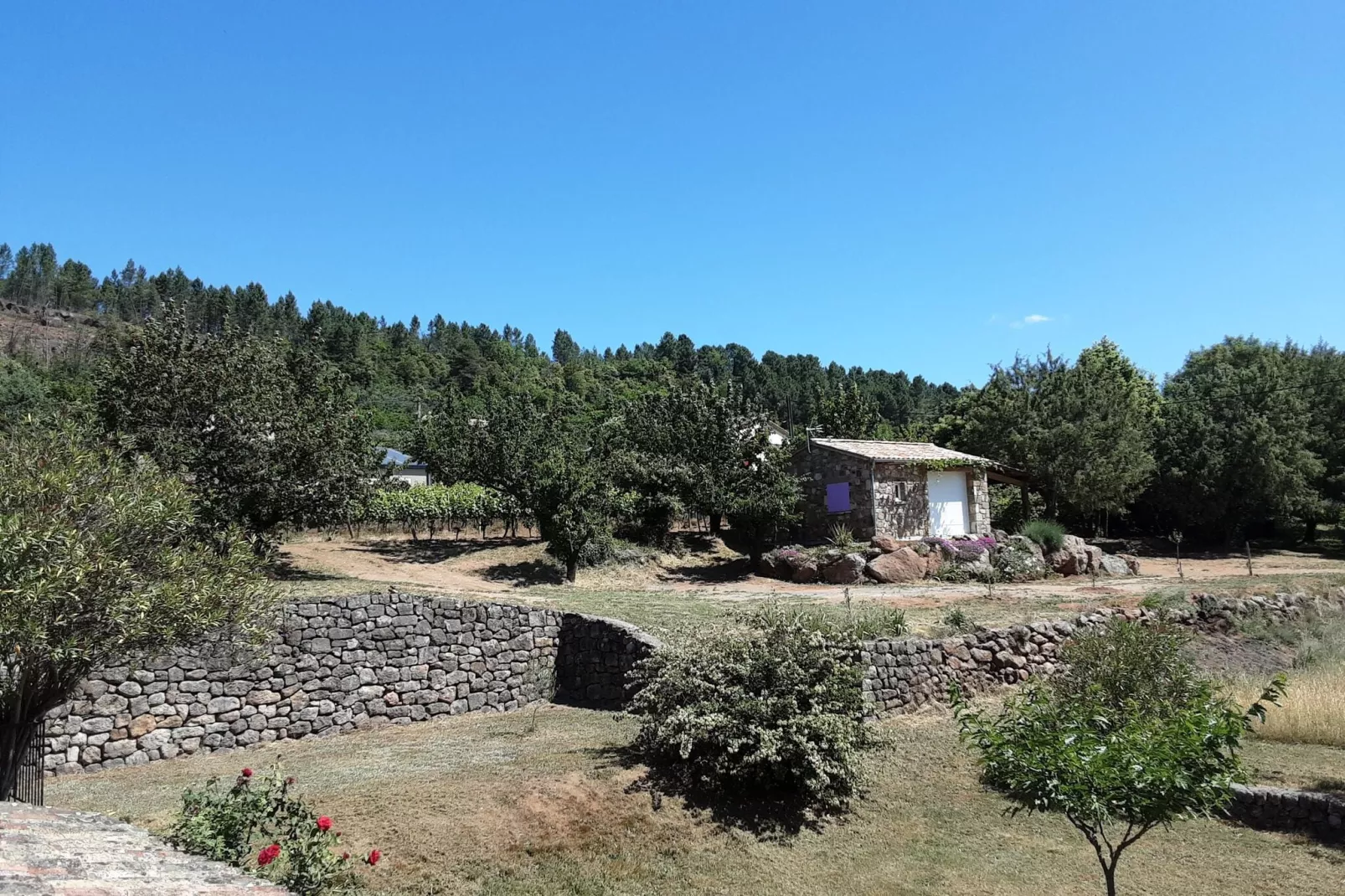 Kleines Steinhaus in Chambonas / Les Cades-Buitenkant zomer