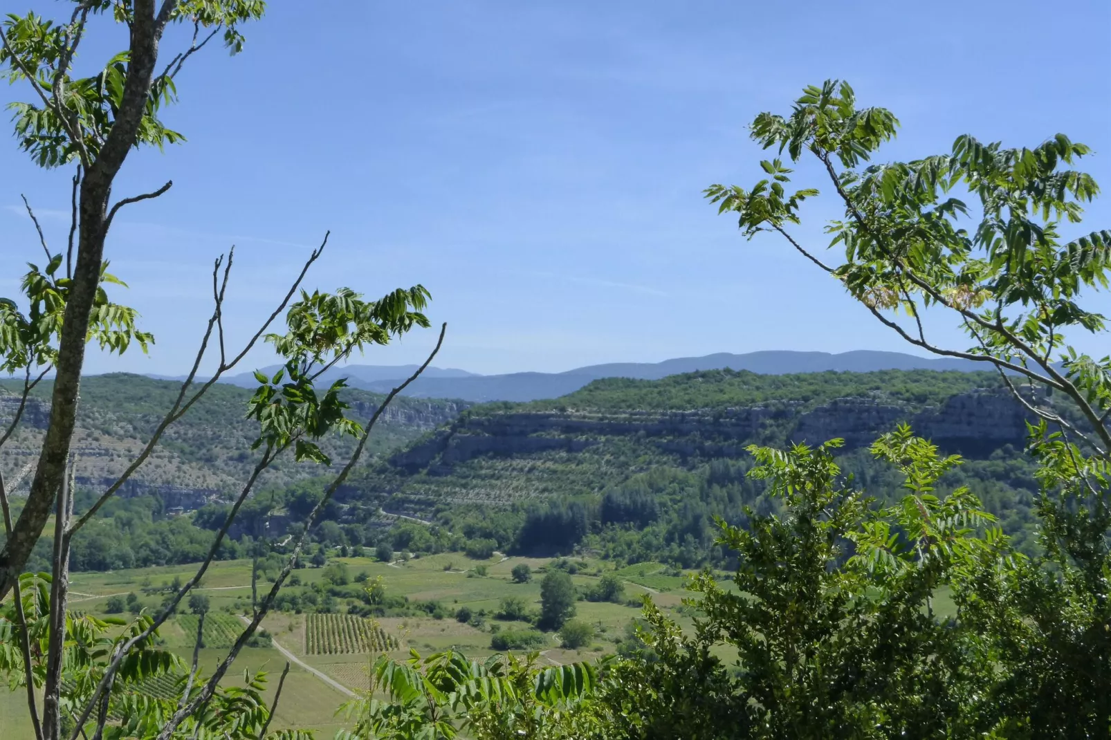 Kleines Steinhaus in Chambonas / Les Cades-Gebieden zomer 5km