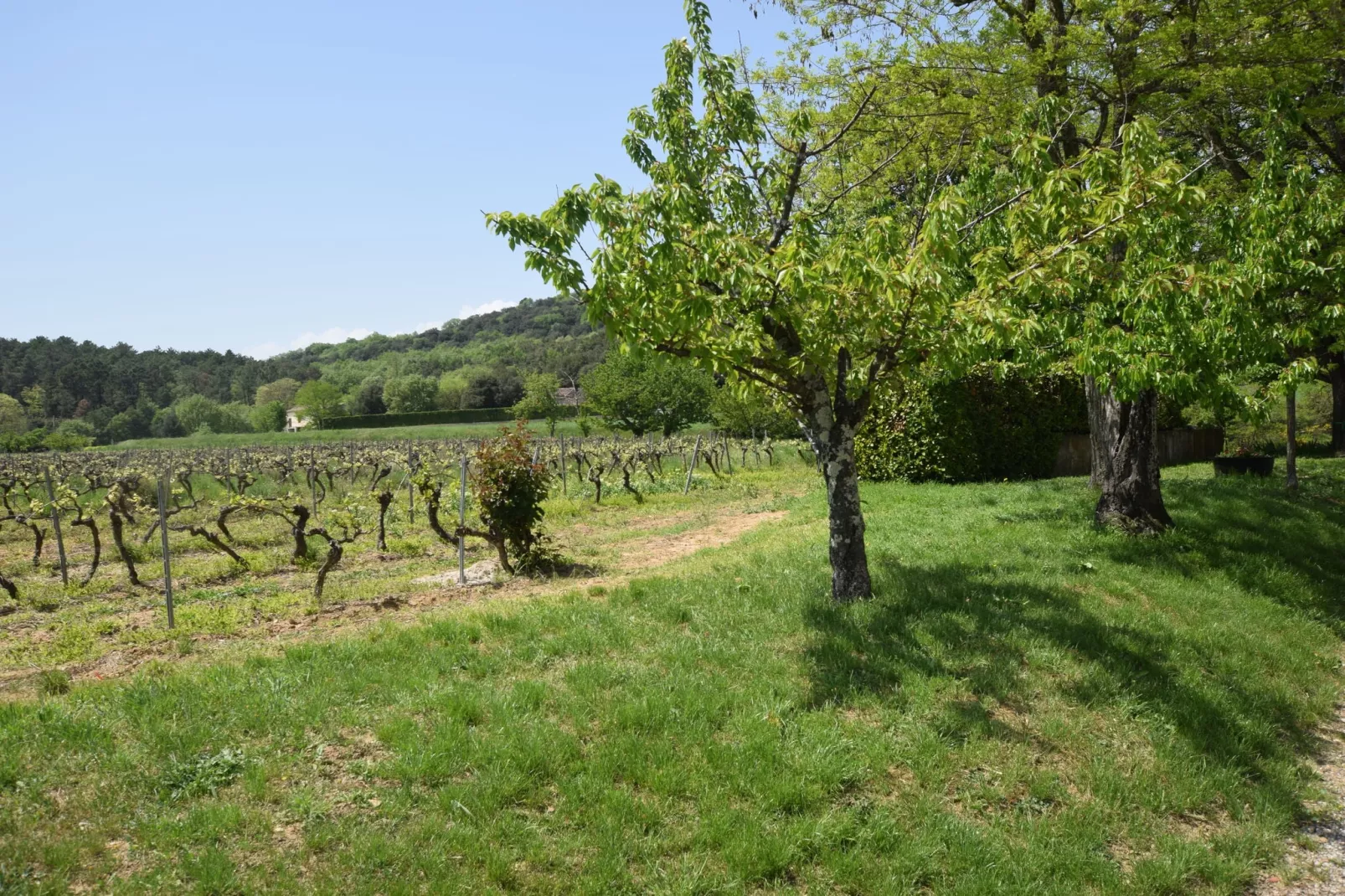 Gite - Lagorce-Gebieden zomer 1km