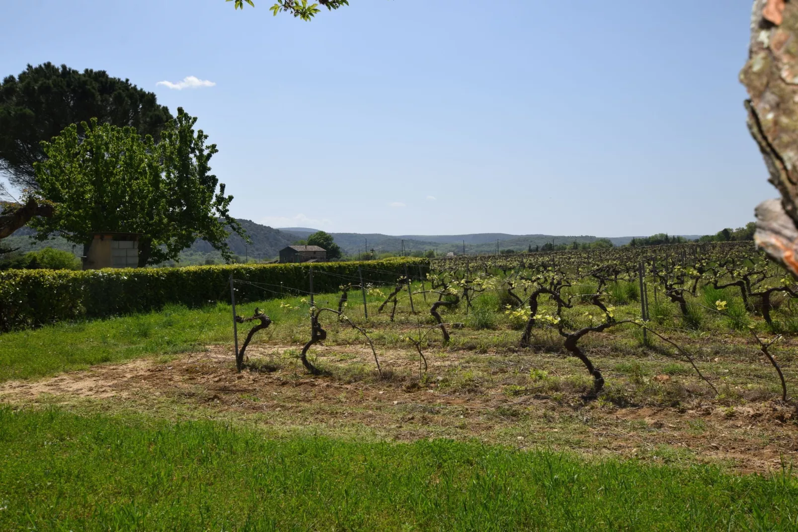 Gite - Lagorce-Gebieden zomer 1km