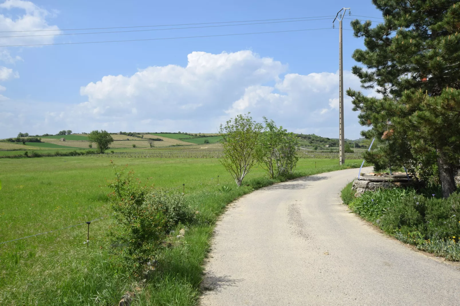 Cottage les Bombis-Gebieden zomer 1km