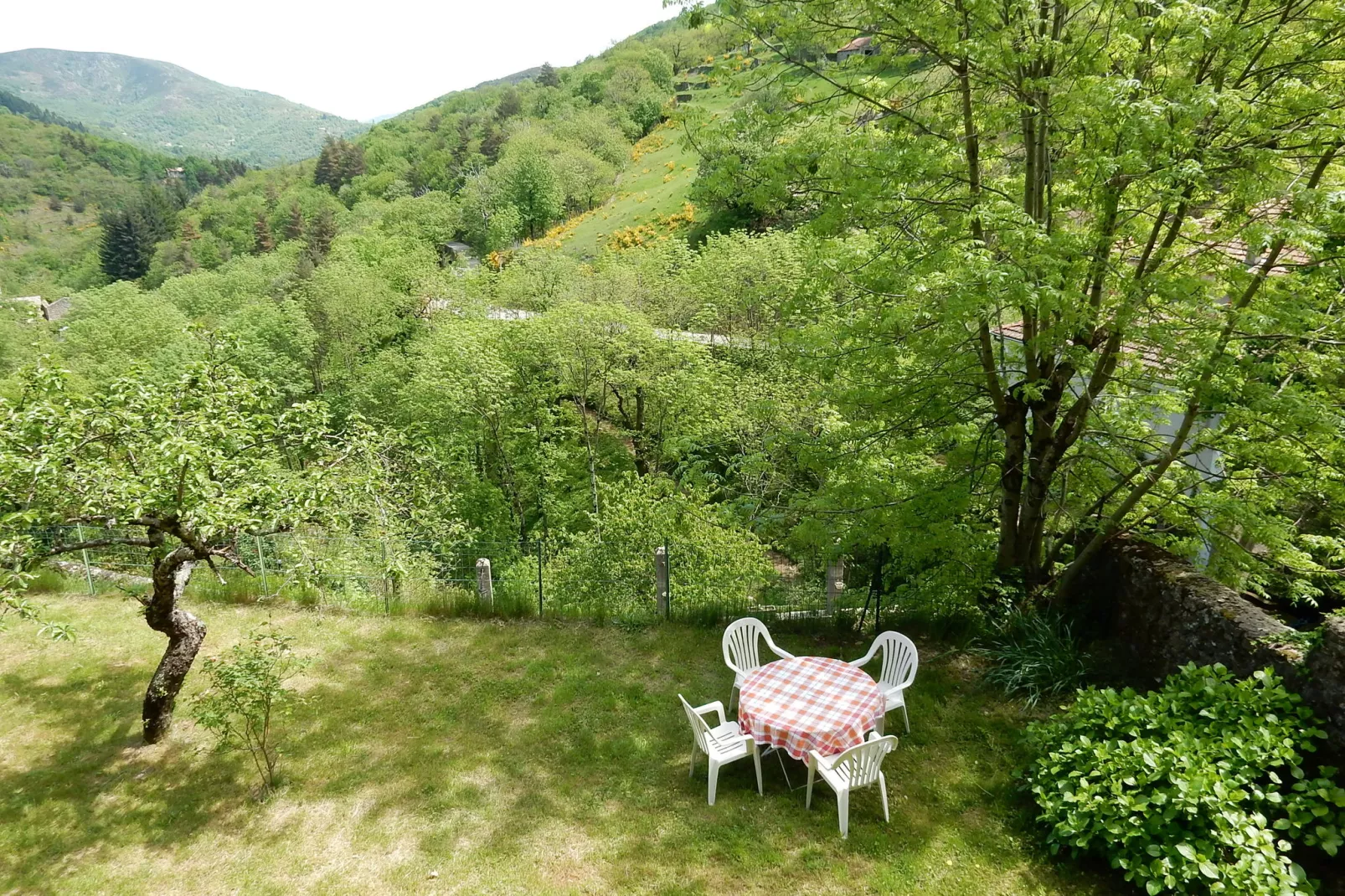 Maison de Vacances  - St Julien de Gua-Uitzicht zomer