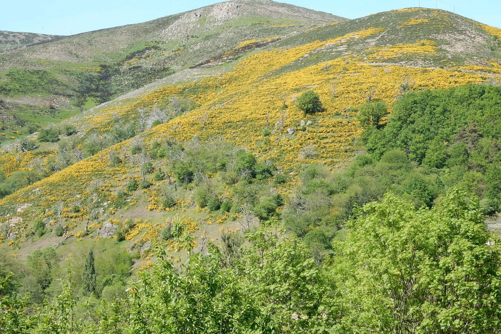 Maison de Vacances  - St Julien de Gua