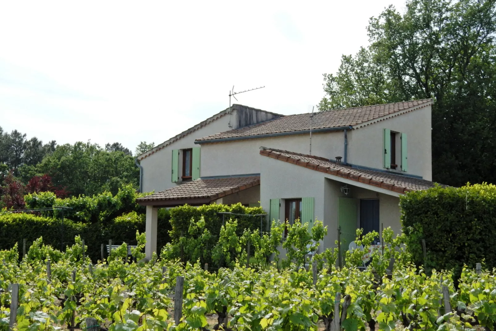 Maison de vacances - Lablachère nord-Buitenkant zomer