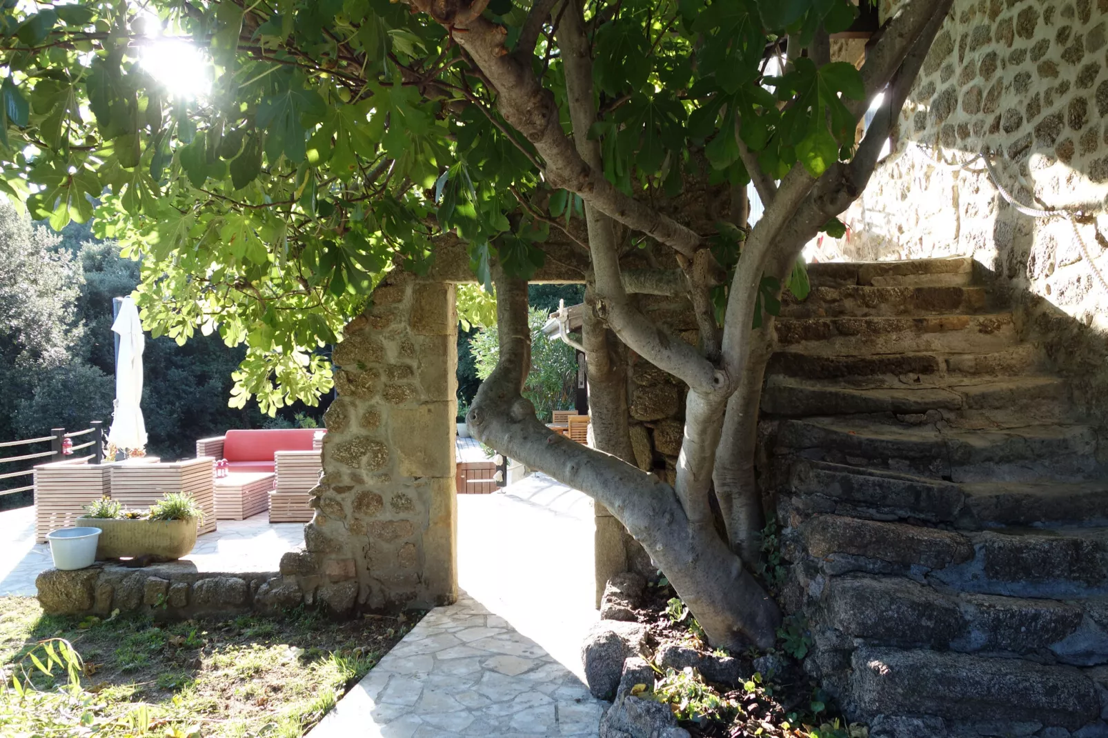 Maison de vacances - Dunière-sur-Eyrieux-Tuinen zomer