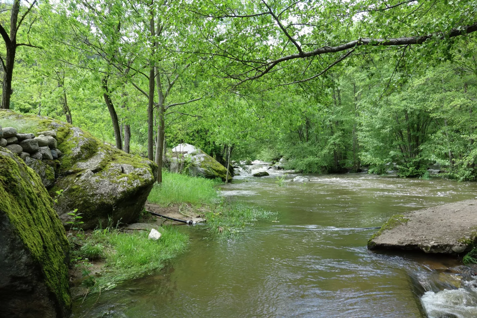 Maison de vacances - Dunière-sur-Eyrieux-Gebieden zomer 1km