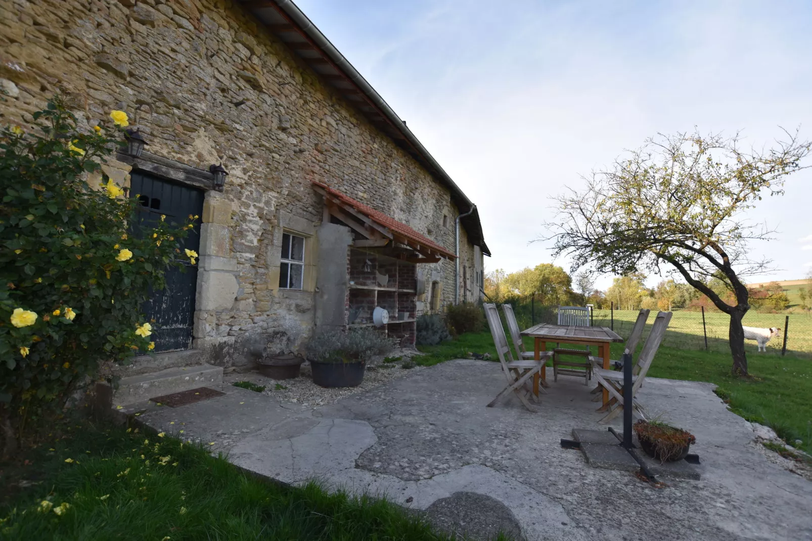 Ferme Remy-Terrasbalkon