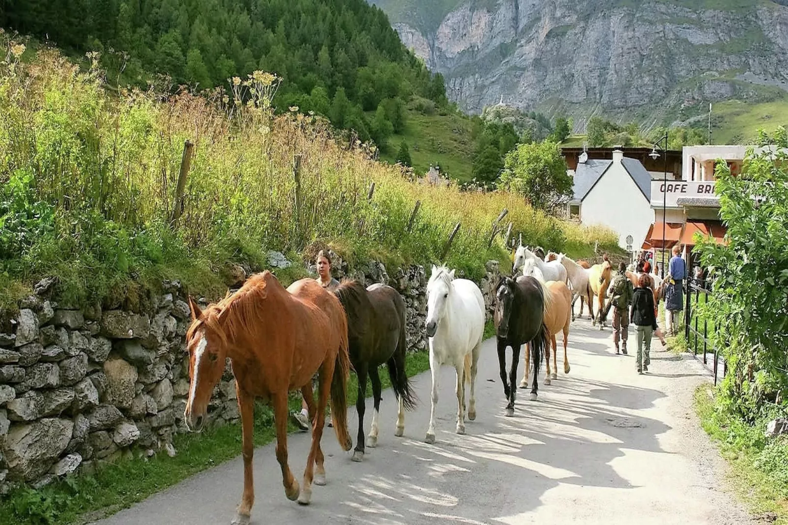 Gîte Marque-Gebieden zomer 20km