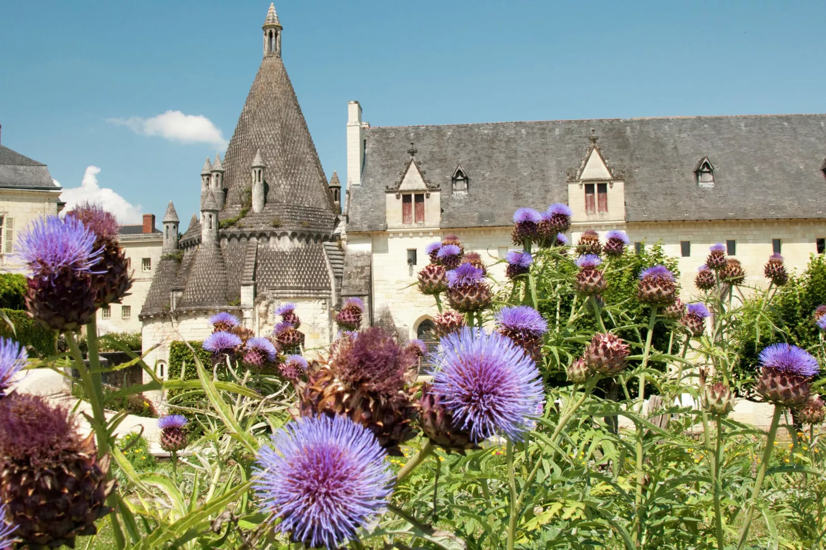 Maison de Vacances- Lavau-Gebieden zomer 1km