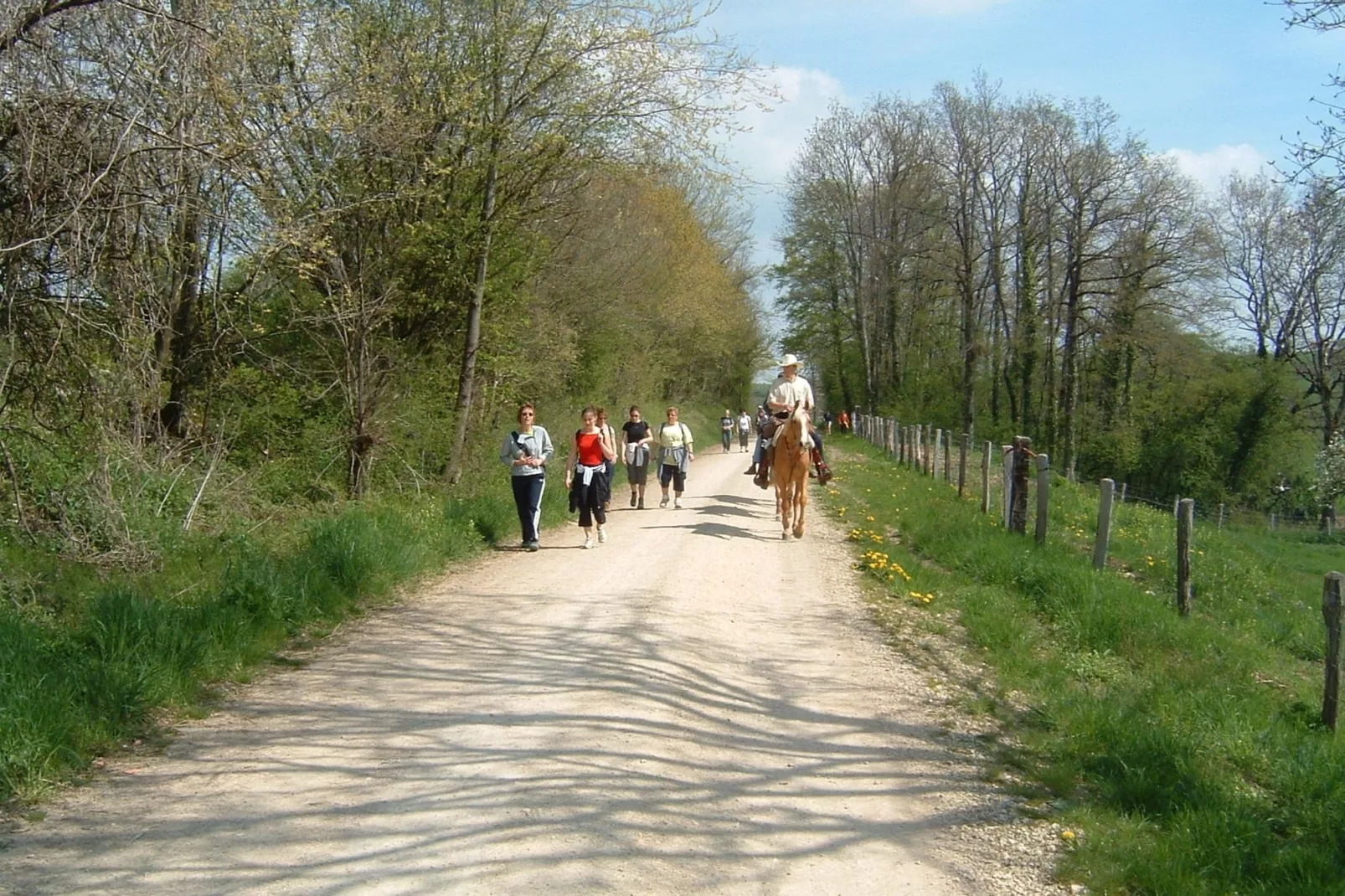 Maison de Vacances- Lavau-Gebieden zomer 5km