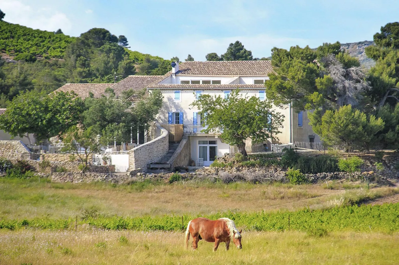 Gîte de luxe dans les vignes 2-Buitenkant zomer