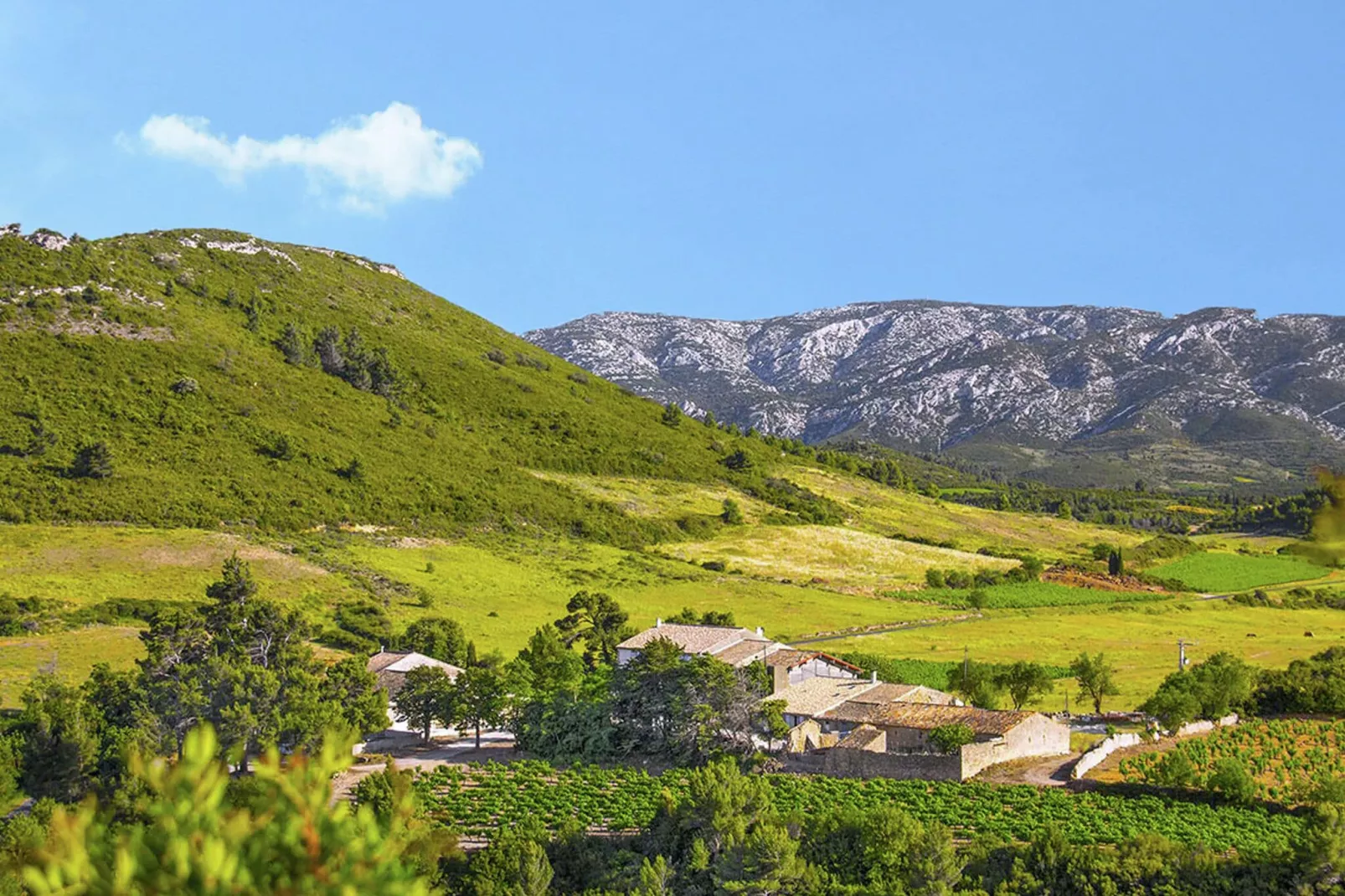 Gîte de luxe dans les vignes 2-Gebieden zomer 20km