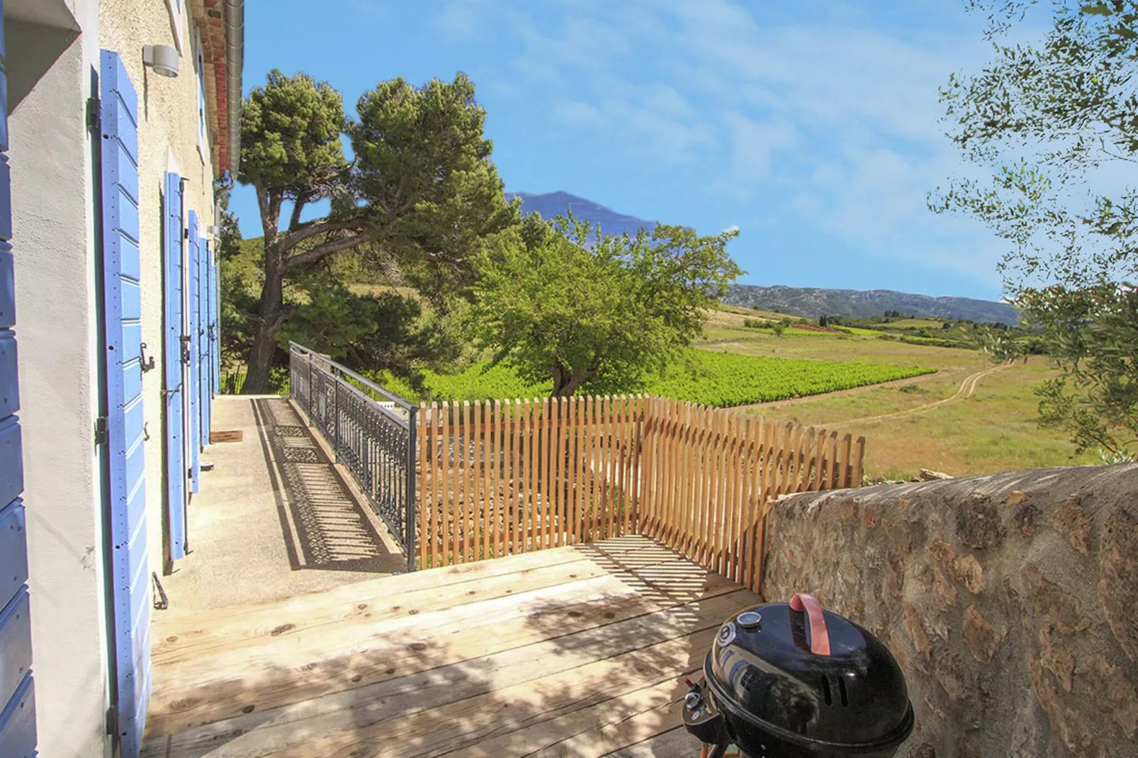 Gîte de luxe dans les vignes 3-Uitzicht zomer