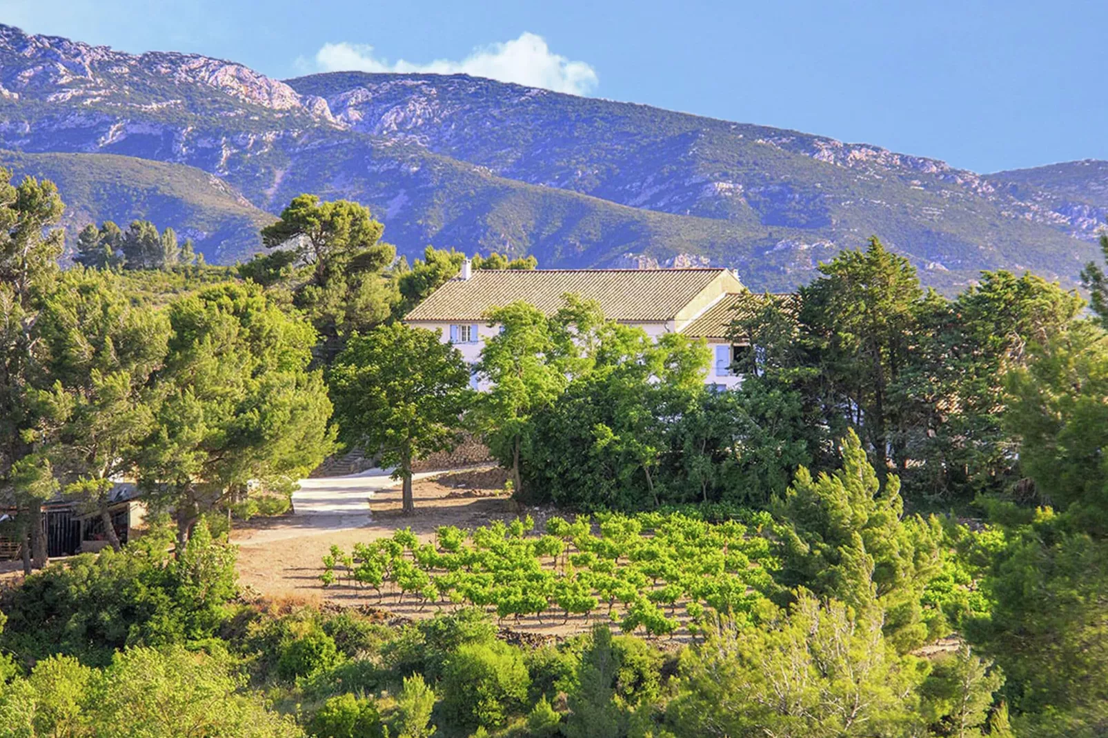 Gîte de luxe dans les vignes 3-Gebieden zomer 5km