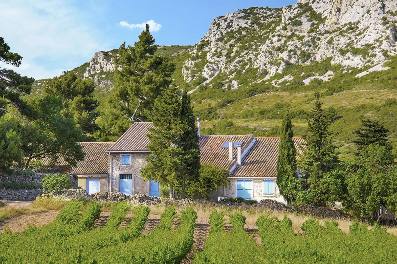 Gîte de luxe dans les vignes 4