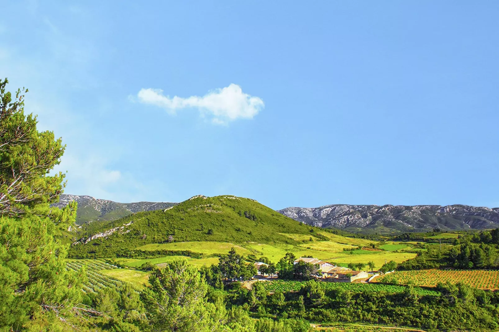 Gîte de luxe dans les vignes 4-Gebieden zomer 5km