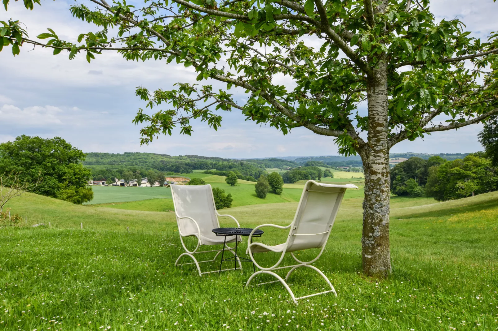 Maison auvergnate avec jacuzzi et sauna-Tuinen zomer