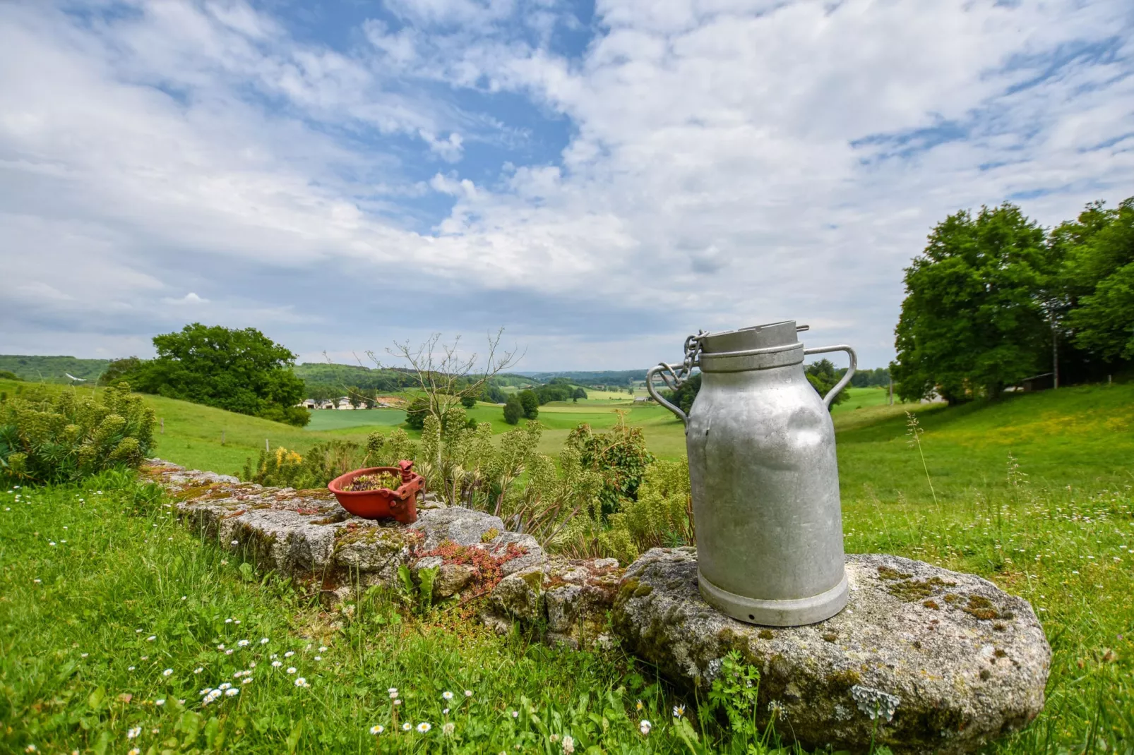 Maison auvergnate avec jacuzzi et sauna-Tuinen zomer