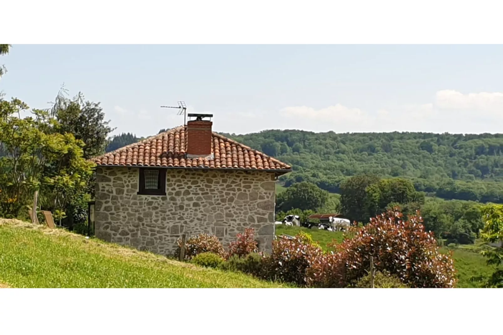 Maison auvergnate avec jacuzzi et sauna-Uitzicht zomer