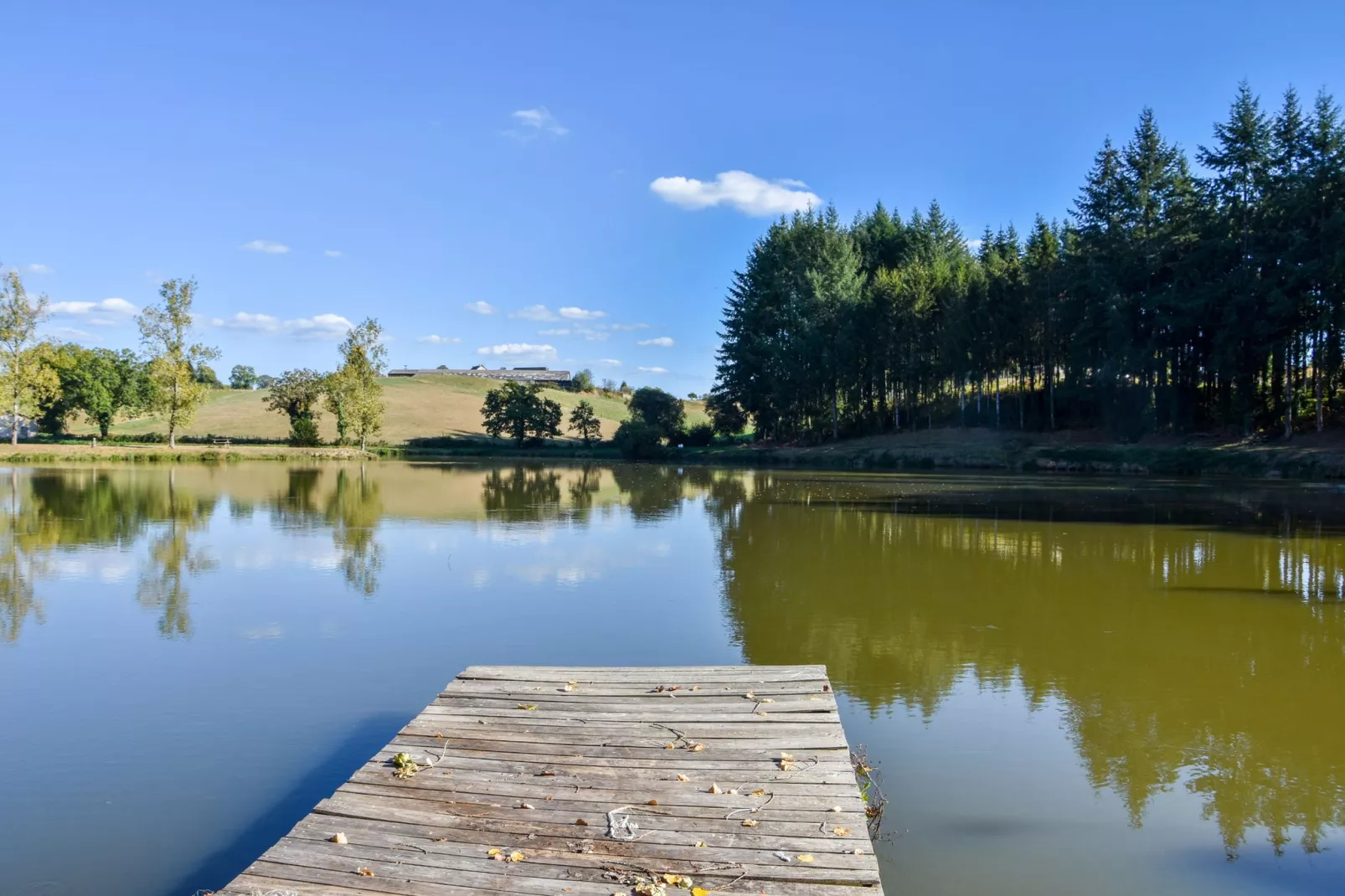 Authentique maison auvergnate-Gebieden zomer 1km