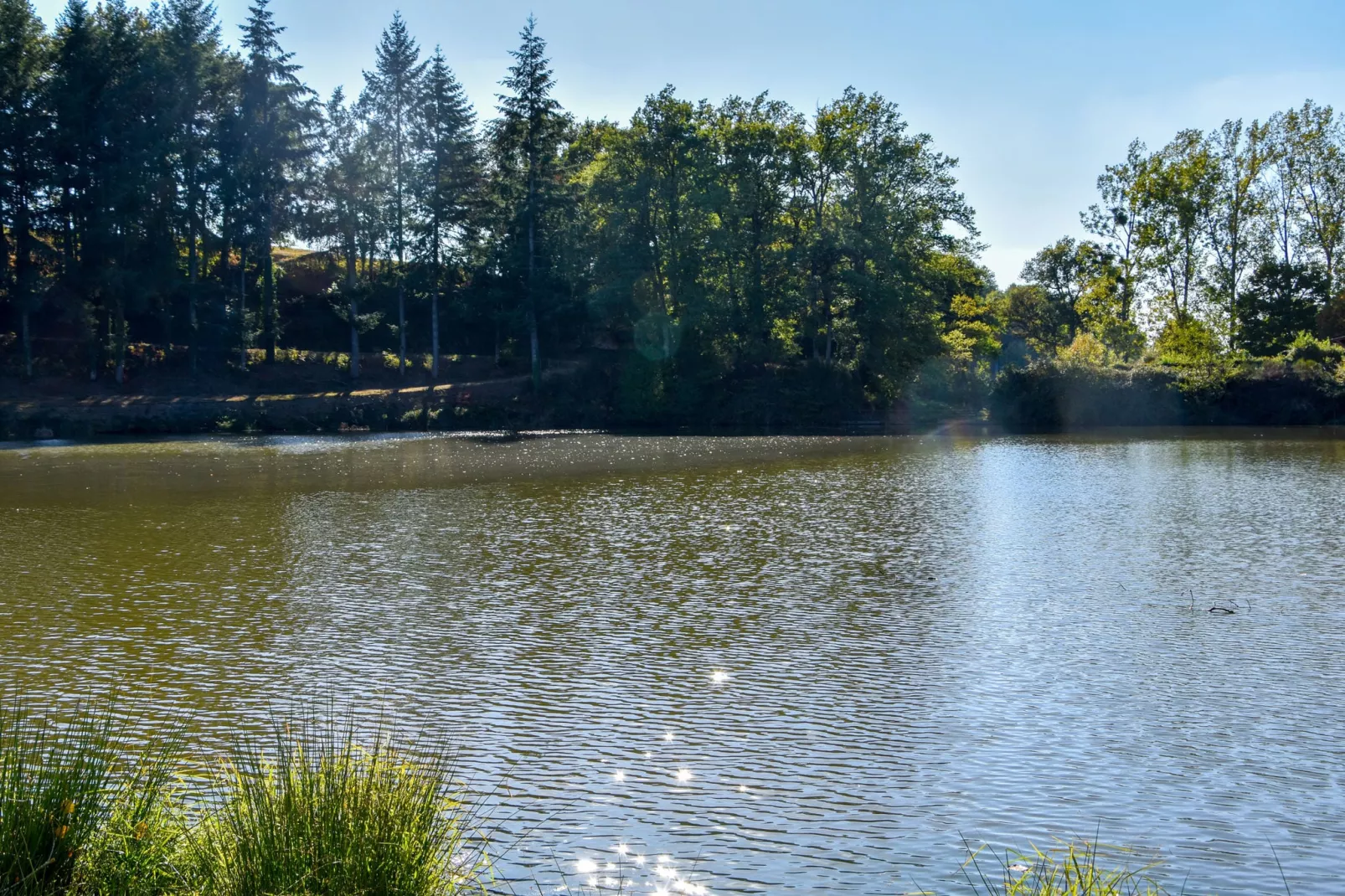 Maison de vacances - Sénezergues-Gebieden zomer 1km