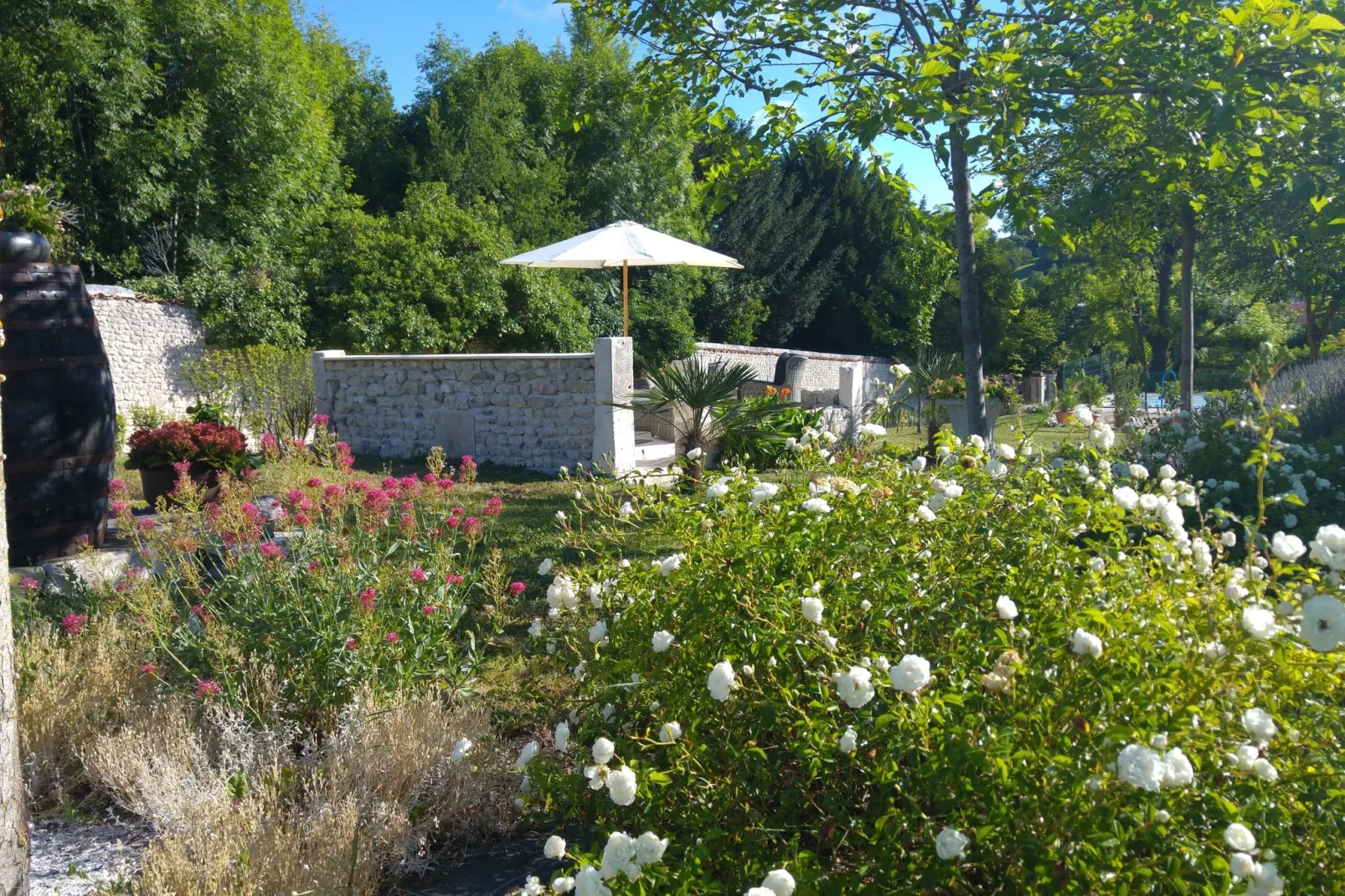 Maison mitoyenne avec piscine-Tuinen zomer