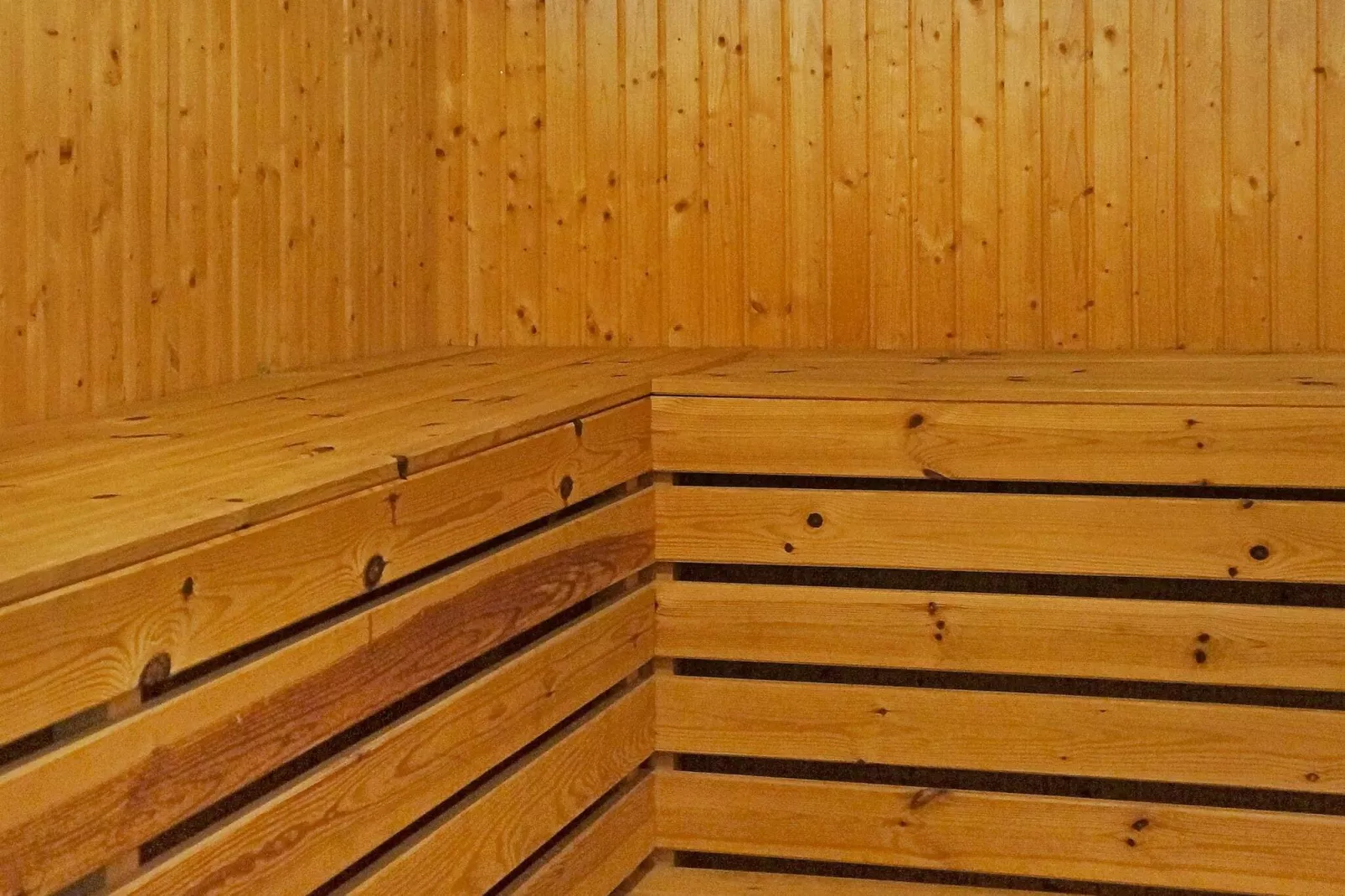 4 sterren vakantie huis in SÖLVESBORG-Sauna