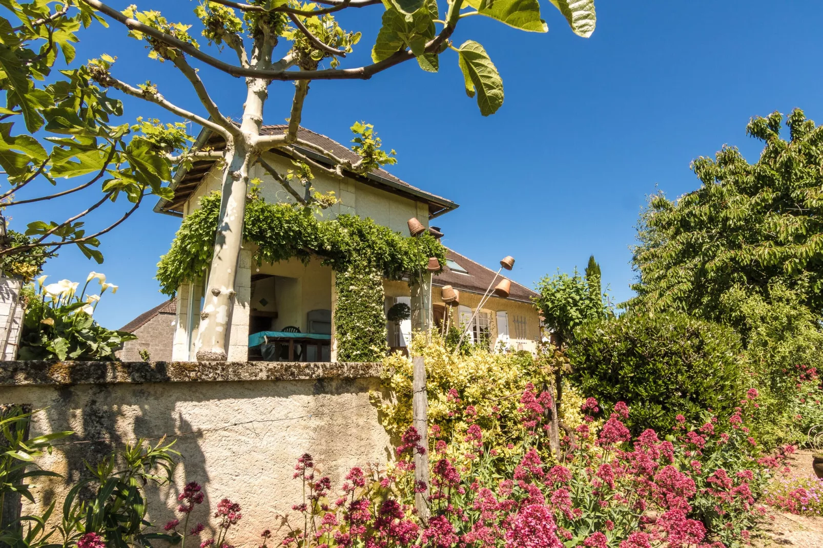 Villa de l'Yssandonnais-Tuinen zomer