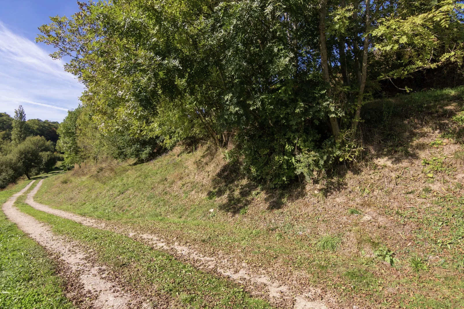 Sérilhac-Gebieden zomer 1km