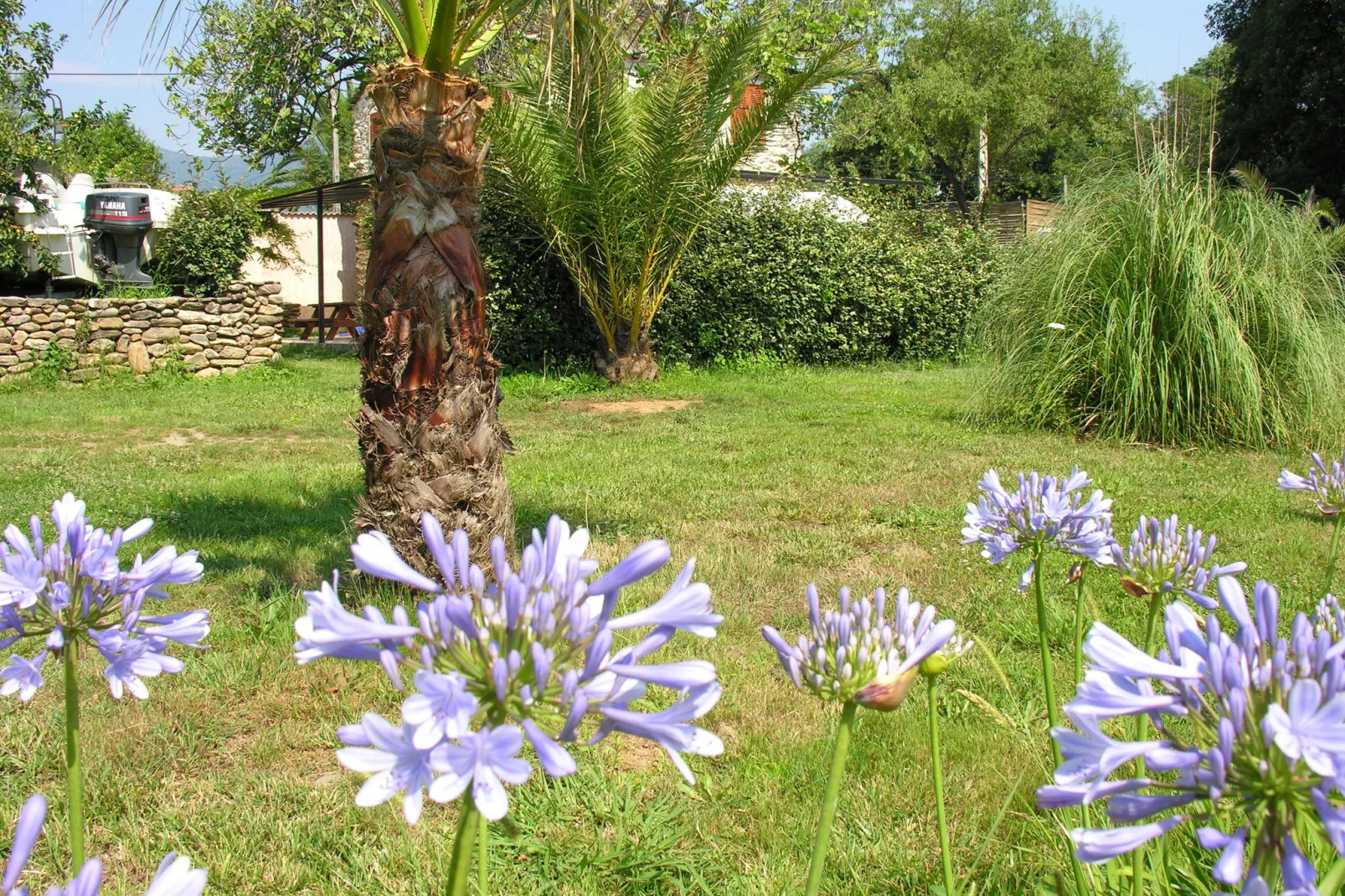 Cigale-Tuinen zomer