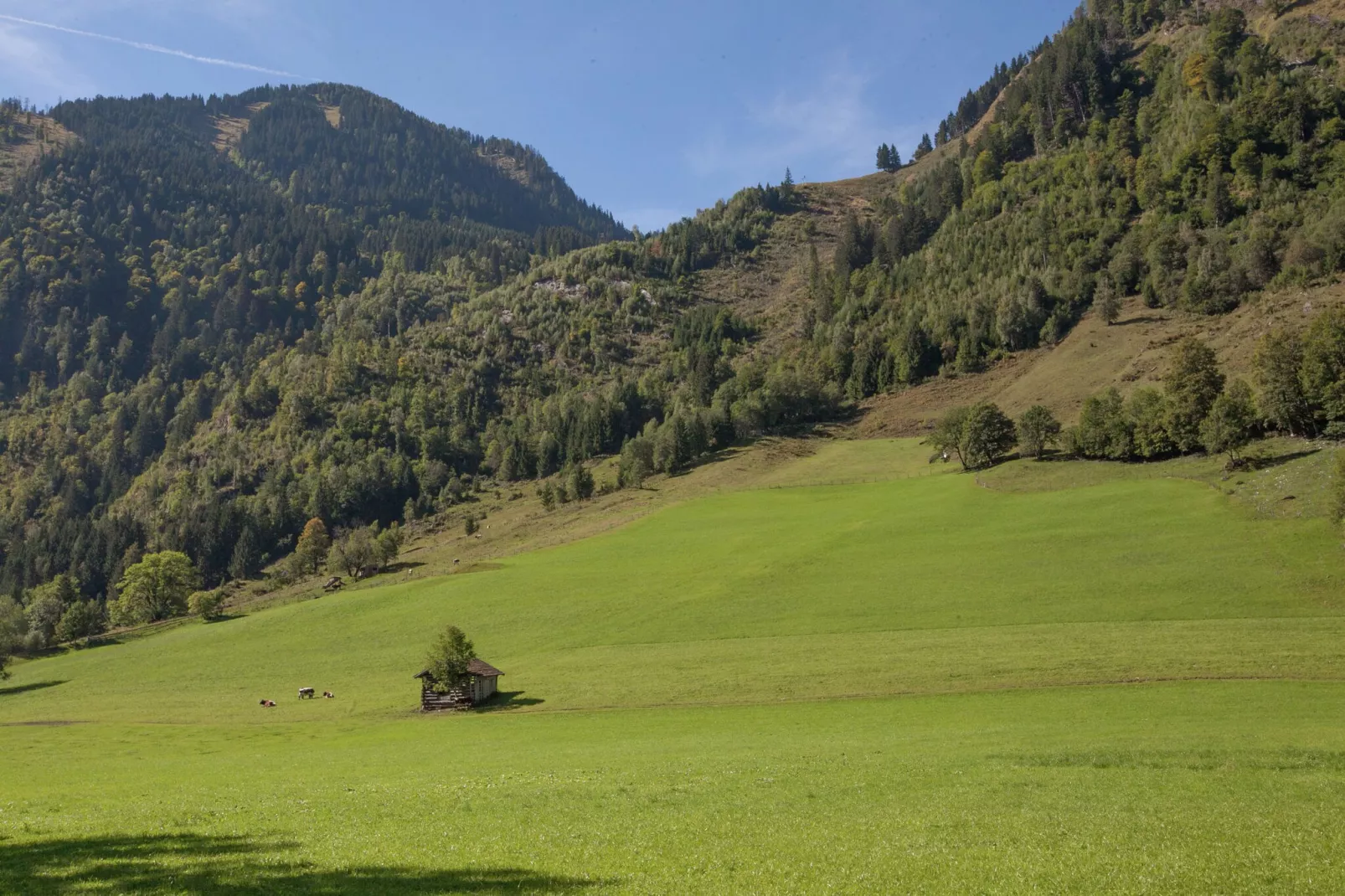 Landhaus Hollin-Gebieden zomer 1km