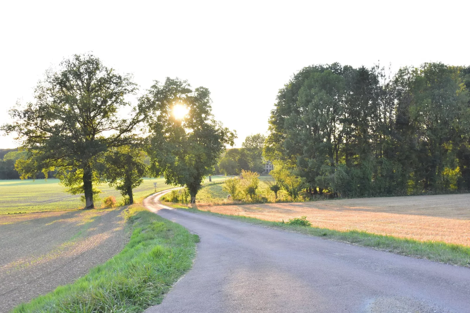 Le Commandant-Gebieden zomer 1km