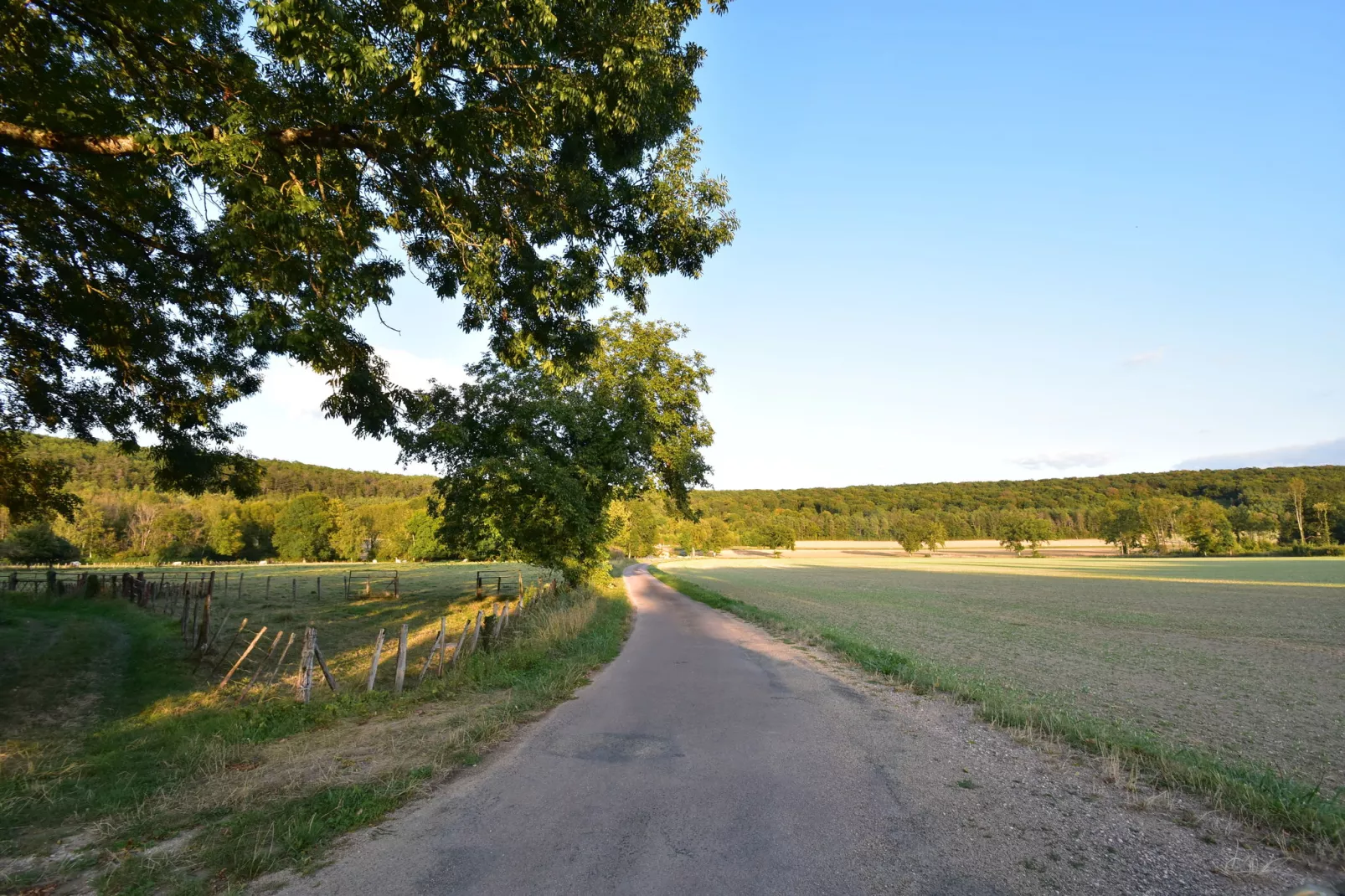 Le Commandant-Gebieden zomer 1km