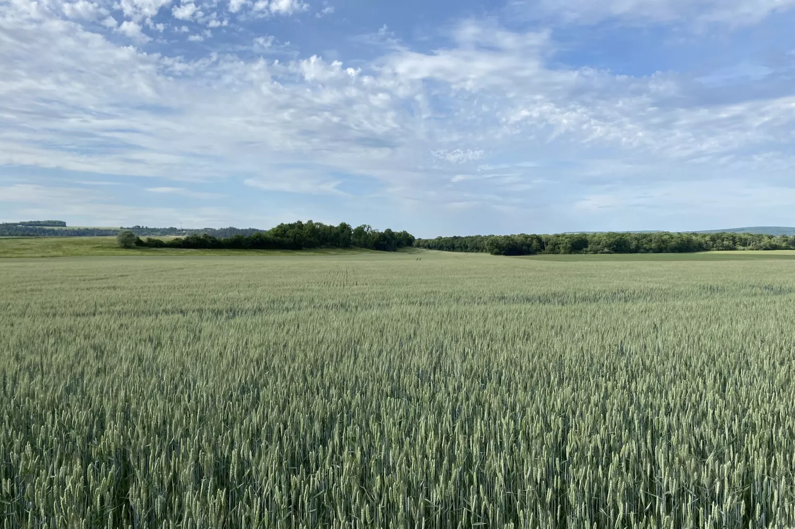 Maison de Vacances Bouix-Gebieden zomer 5km