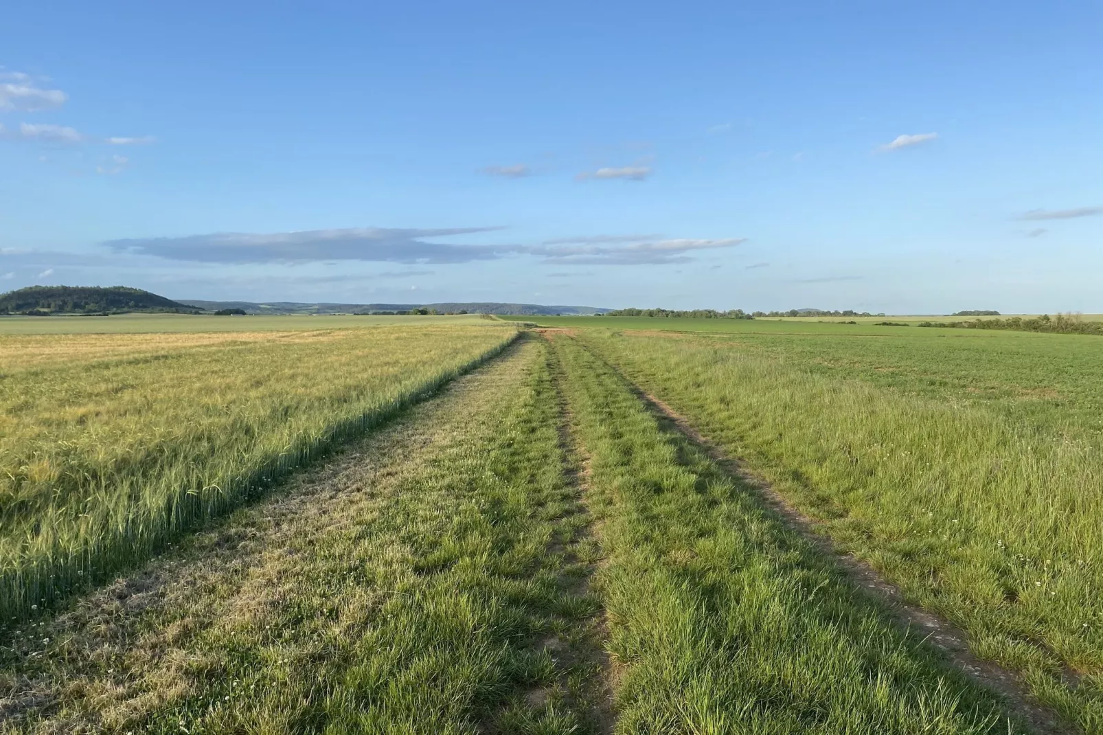 Maison de Vacances Bouix-Gebieden zomer 5km